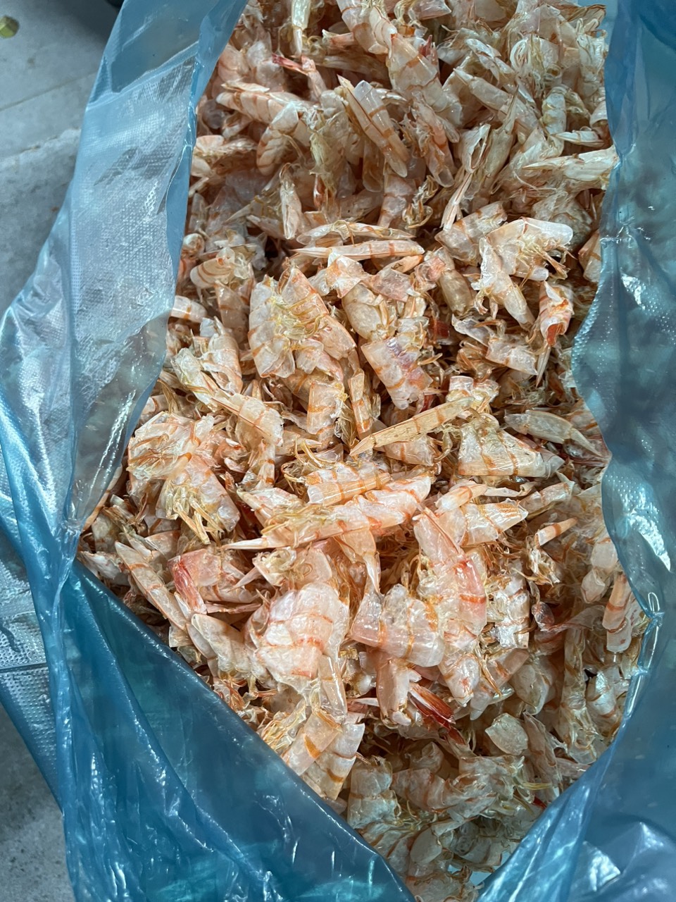 Shrimp Shell Meal -  Origin Vietnam - 447549837432