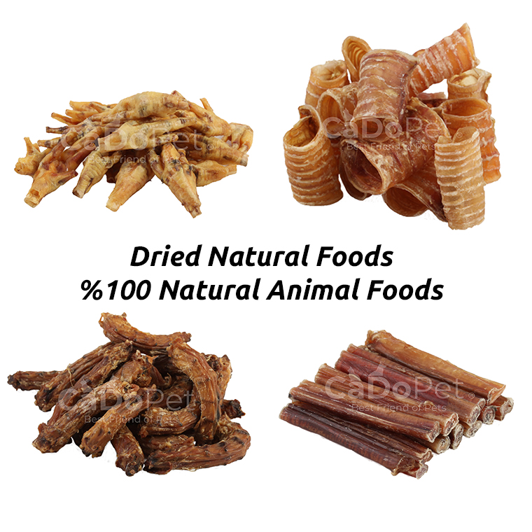 Dried Dog Food Dog Treats Dog Chews 